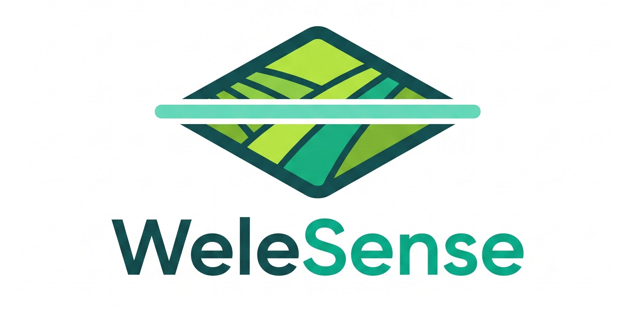 Welesense